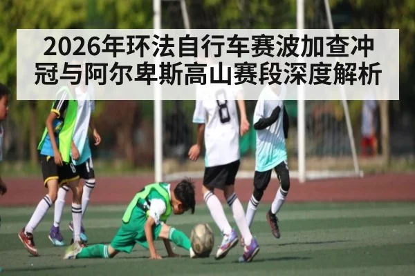 2026年环法自行车赛波加查冲冠与阿尔卑斯高山赛段深度解析